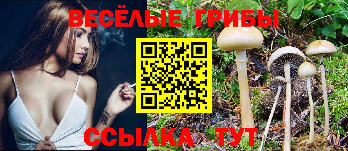Псилоцибиновые грибы ЛСД  Вход с VPN  Елизово 